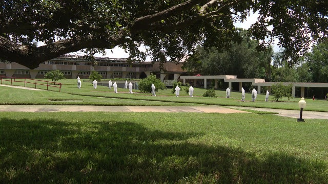Florida Southern College turns citrus groves into 'living laboratories' to help rescue state's industry