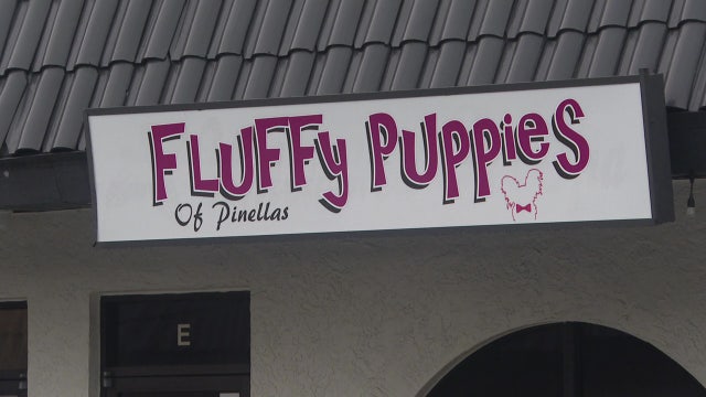 Largo dog groomer responds after dog dies during grooming appointment