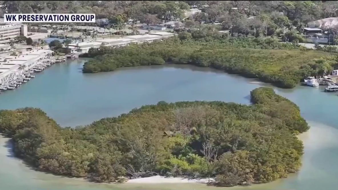 Group pushes for 29-acre Boca Ciega Bay property to become new Pinellas County preserve