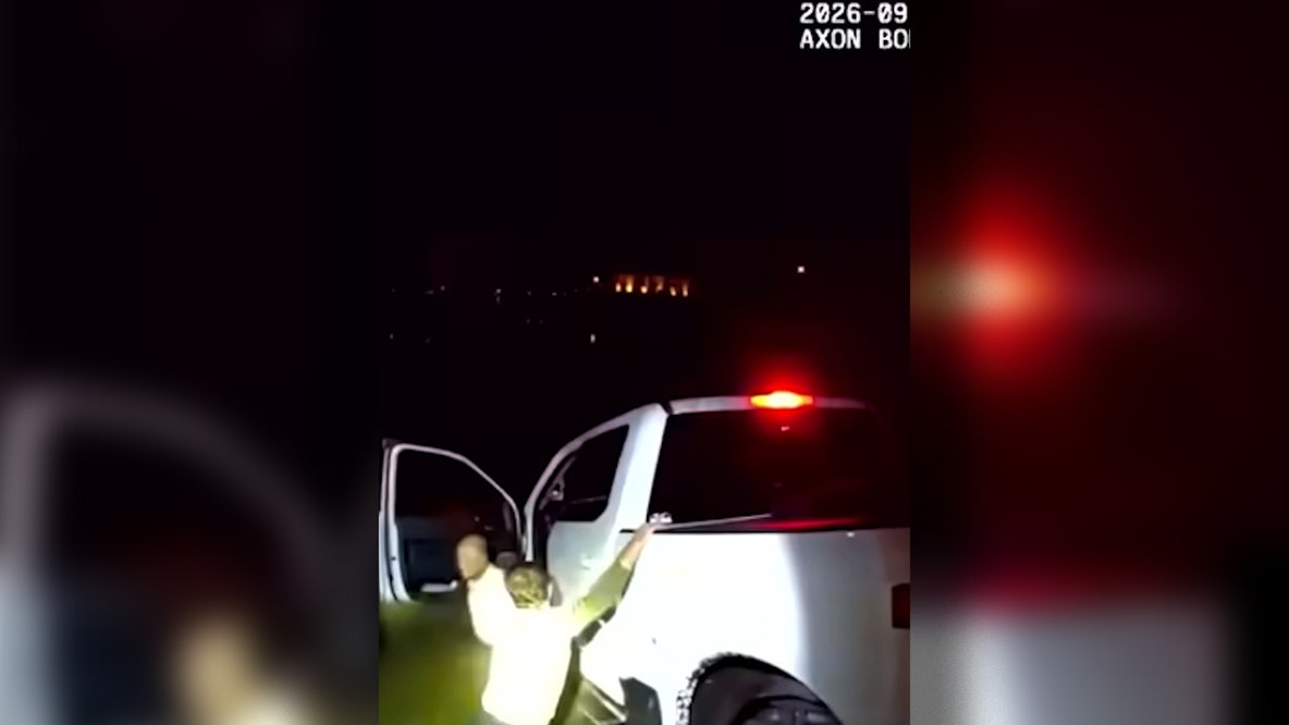 Video: Florida man resists DUI arrest after truck crashes into canal