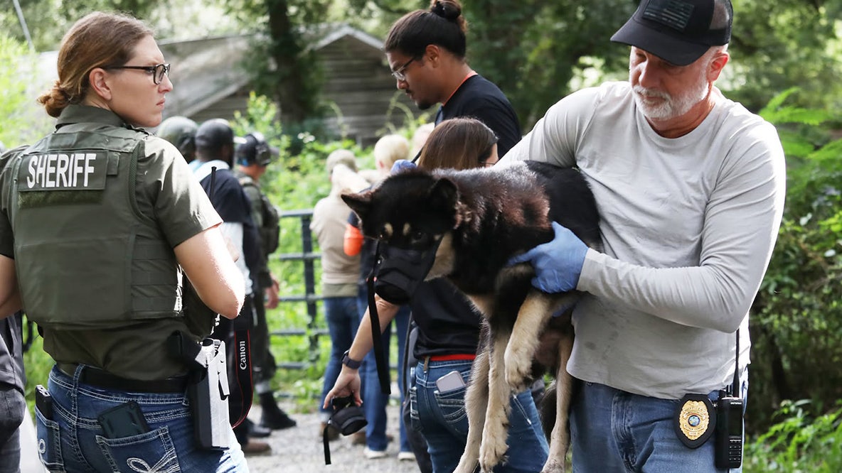 Florida man arrested after animal control rescues 36 dogs from property, 15 euthanized