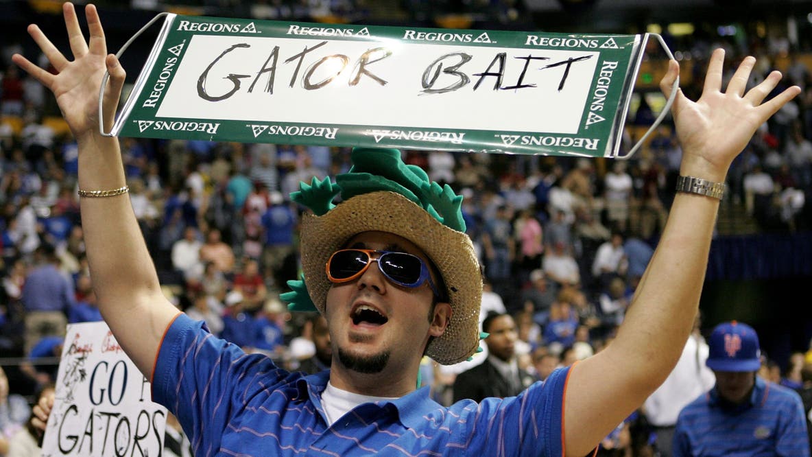 University of Florida brings back banned gator bait tradition