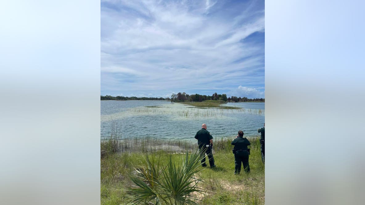 Alligator attacks child at Weeki Wachee Preserve: HCSO