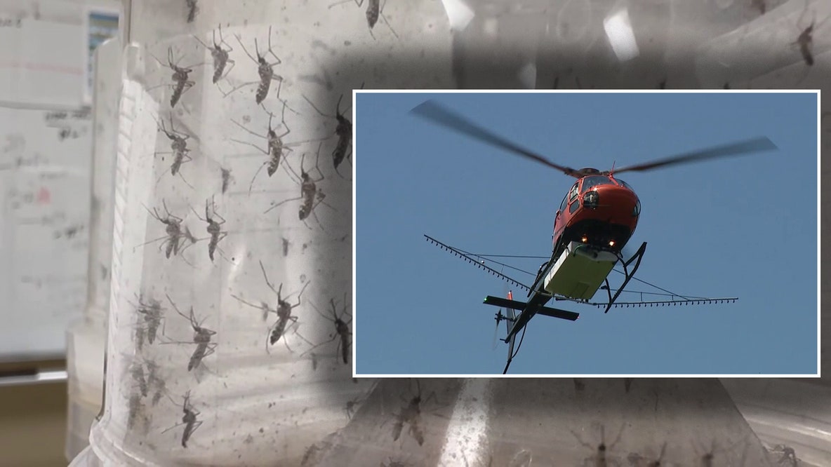 Hillsborough dengue outbreak: Lee County sends mosquito-spraying helicopters