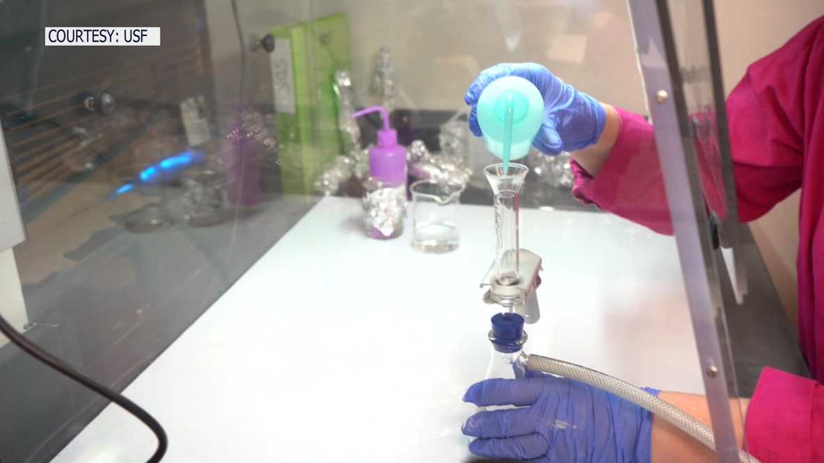 USF grad students study microplastics in mangroves