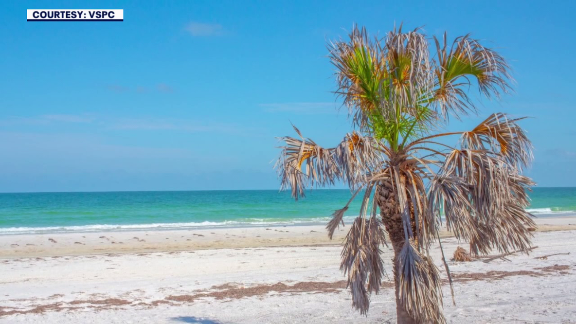 Caladesi Island State Park could expand with proposed 42-acre land purchase