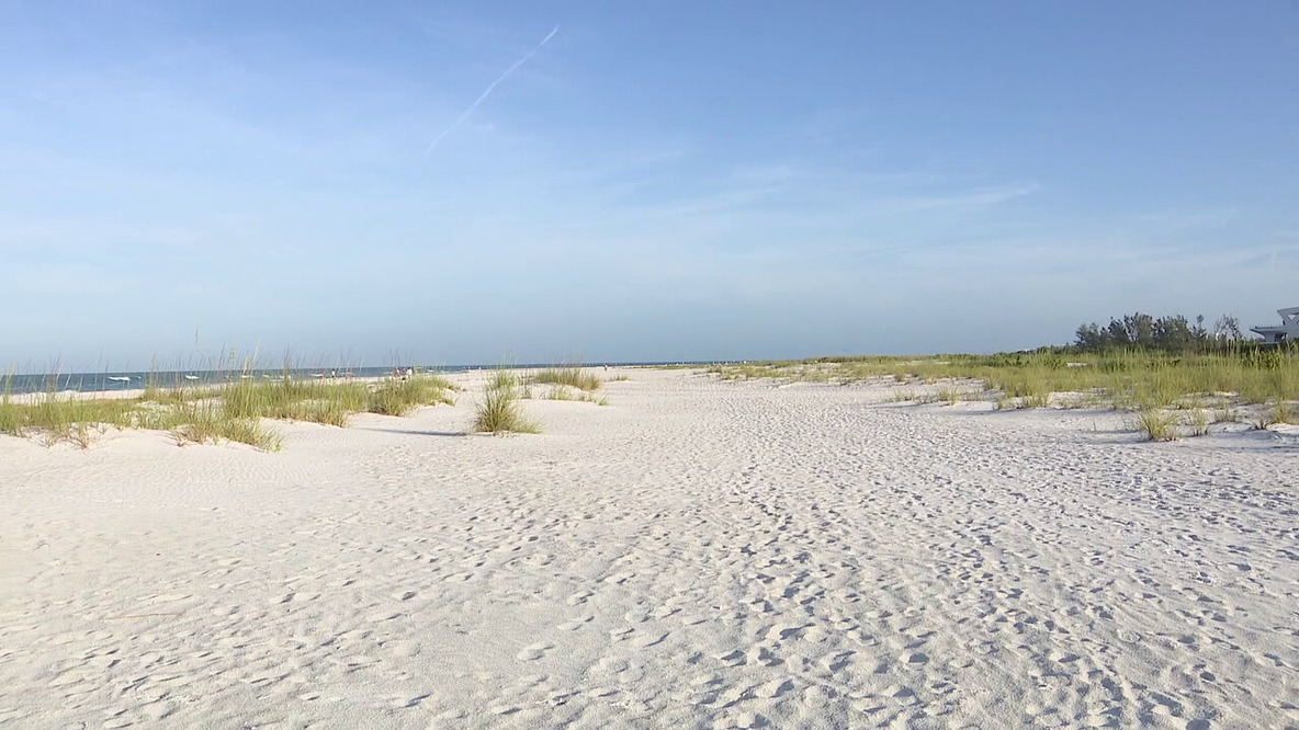 $12M Lido Beach dune restoration project gets underway