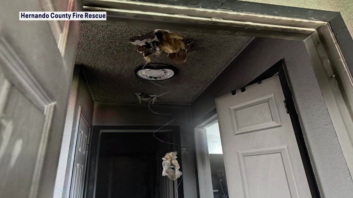 Amazon Alexa camera alerts homeowner to Spring Hill fire