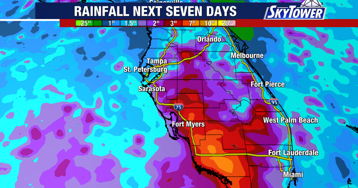 Tampa Friday starts sunny, ends with storms, high of 91; University of Florida brings back banned 'gator bait' tradition