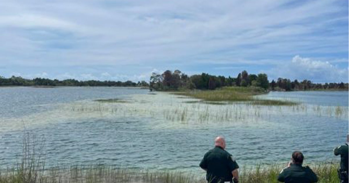 Child hospitalized after alligator attack at Weeki Wachee Preserve: HCSO