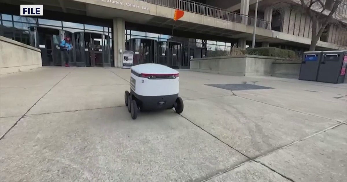 St. Petersburg Takeout Robot Delivery: What You Need to Know