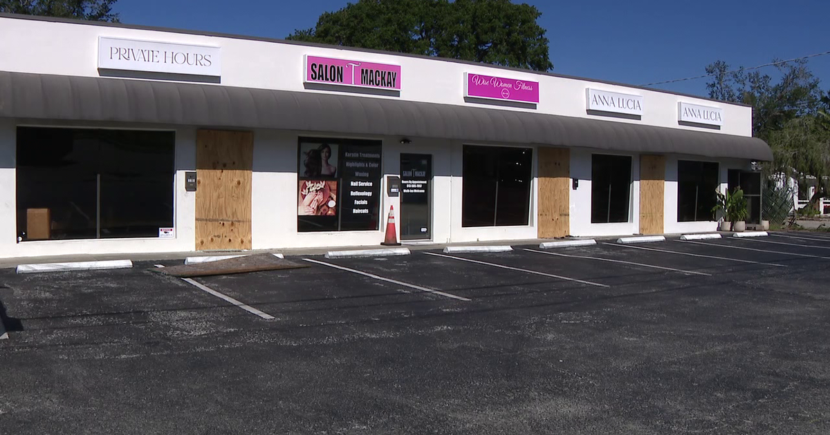 South Tampa fire damages 4 businesses, owners face long recovery