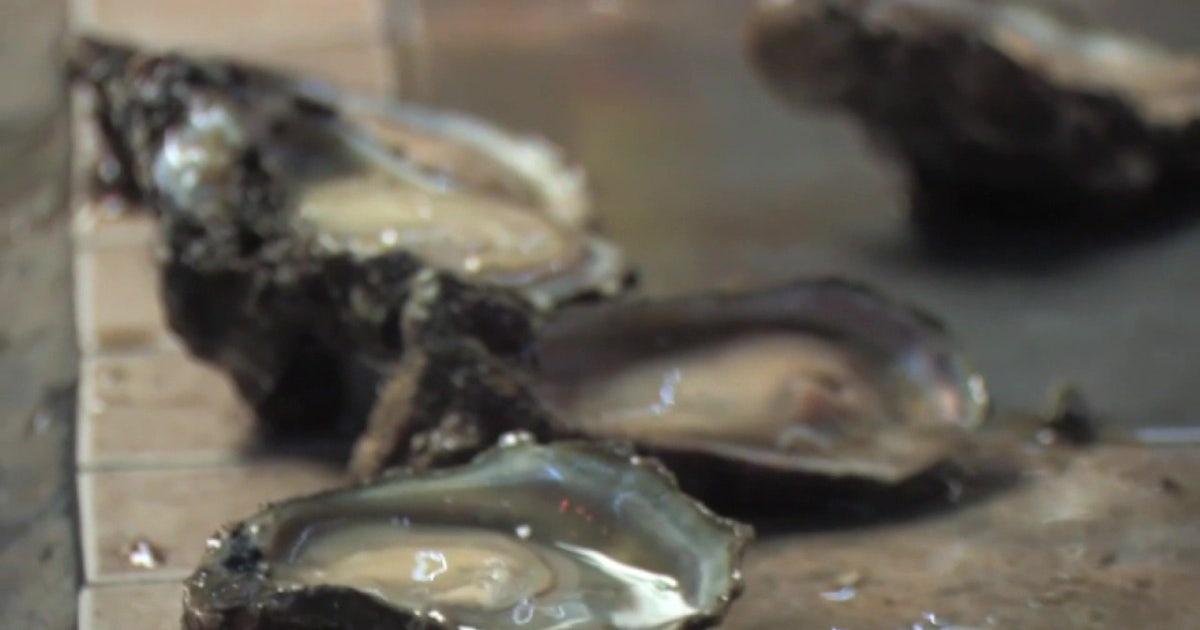Fourth Florida resident dies after contracting flesh-eating bacteria linked to oysters