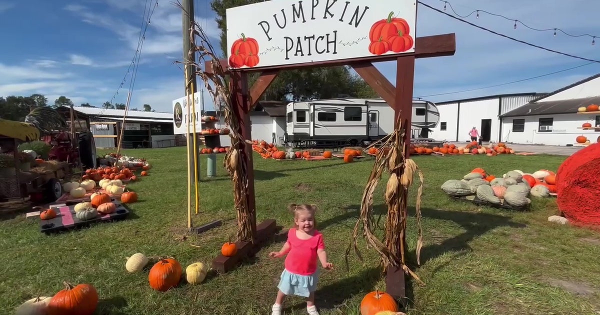 Raprager Family Farms speaks on annual Fall Festival in Tampa Bay