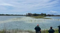 Child hospitalized after alligator attack at Weeki Wachee Preserve: HCSO