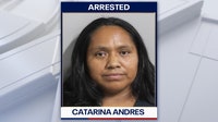 Guatemalan woman was in U.S. illegally, arrested after backing into Polk deputy's patrol vehicle: PCSO