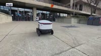 St. Petersburg City Council considers autonomous food delivery robots