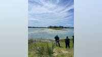 Alligator attacks child at Weeki Wachee Preserve: HCSO