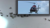 Dengue response: Low-flying helicopters to spray Tampa neighborhoods