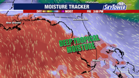 Tampa rain chances increase as weather pattern shifts