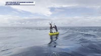 Storm surge forecasting: USF models predict surge levels days ahead of storms
