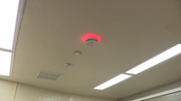Hillsborough schools expanding vaping detectors to middle, K-8 campuses