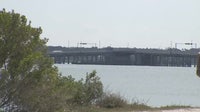 Dunedin unanimously votes to ban motorized watercraft launches on Causeway