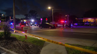 Tampa bicyclist killed after being hit by vehicle on Hillsborough Avenue: Police