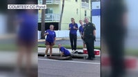 Sea turtles rescued from Indian Rocks Beach storm drain, improper lighting blamed