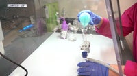 USF grad students study microplastics in mangroves