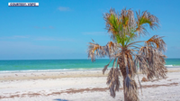 Caladesi Island State Park could expand with proposed 42-acre land purchase