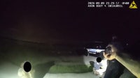 Florida shark-tooth hunt ends with 5 arrests