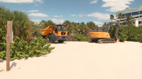 Sarasota starts 60-day Lido Beach dune project to block storm surge