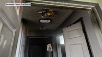 Amazon Alexa camera alerts homeowner to Spring Hill fire
