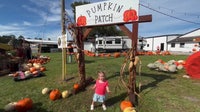 Raprager Family Farms speaks on annual Fall Festival in Tampa Bay