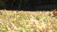 Tampa Bay area water restrictions extended through March 2027