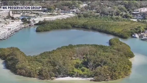 Group pushes for 29-acre Boca Ciega Bay property to become new Pinellas County preserve