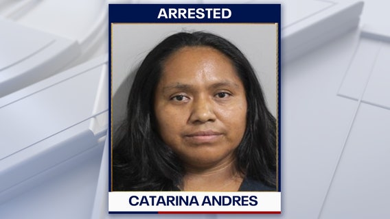 Guatemalan woman was in U.S. illegally, arrested after backing into Polk deputy's patrol vehicle: PCSO