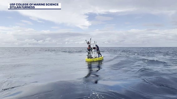 Storm surge forecasting: USF models predict surge levels days ahead of storms