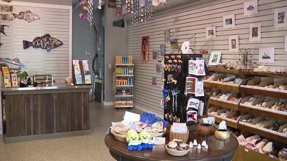 Hubbard's Marina Shop reopens in Madeira Beach following hurricane storm repairs