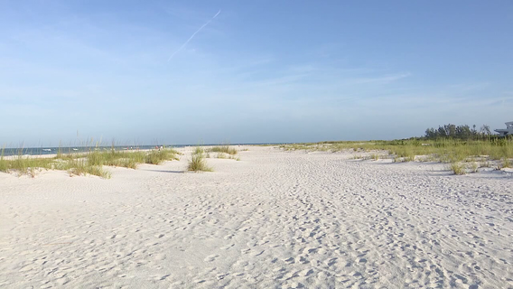 $12M Lido Beach dune restoration project gets underway