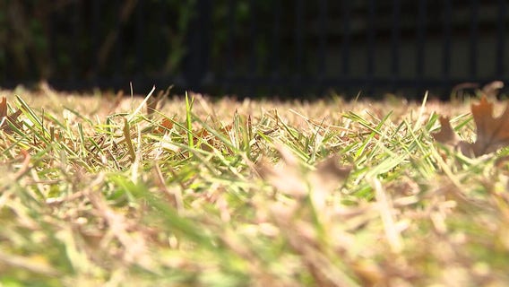 Tampa Bay area water restrictions extended through March 2027