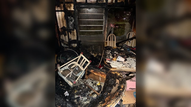 2 pets killed in Citrus County house fire linked to e-bike battery: CCFR