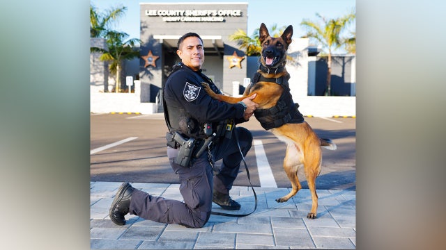 Florida K9 dies while helping deputies with an apprehension: LCSO