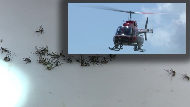 Dengue response: Low-flying helicopters to spray Tampa neighborhoods