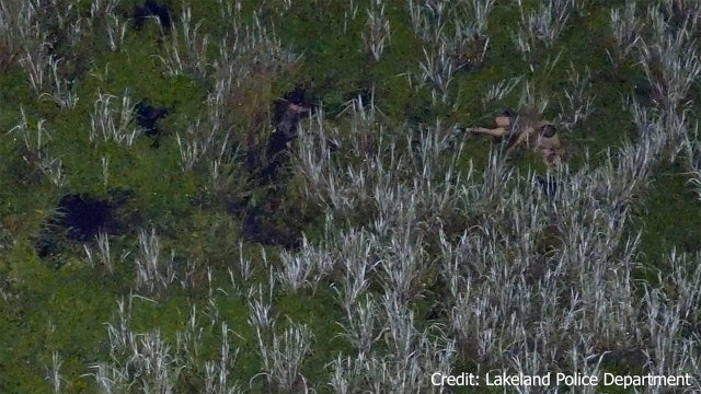 Man accused of DUI crawls through swamp with 2 kids after crash in Lakeland: LPD