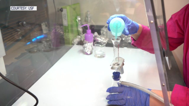 USF grad students study microplastics in mangroves