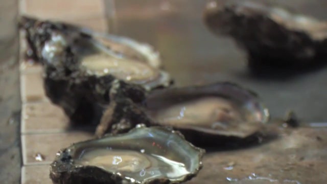 Fourth Florida resident dies after contracting flesh-eating bacteria linked to oysters