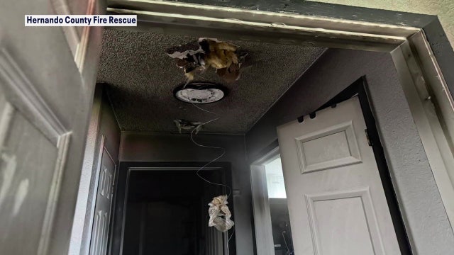 Amazon Alexa camera alerts homeowner to Spring Hill fire