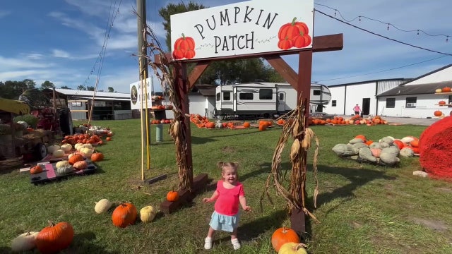 Raprager Family Farms speaks on annual Fall Festival in Tampa Bay